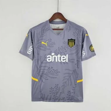 22-23 Pearol away