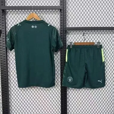 25-26 Manchester City Third Kit Soccer T-Shirt