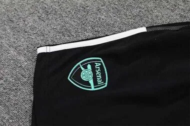 21-22 Arsenal vest training suit kit green