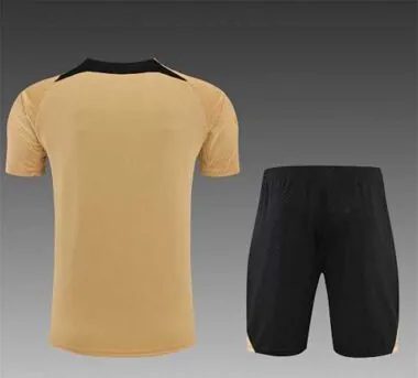22-23 Chelsea-trainingsshirt met korte mouwen, goud