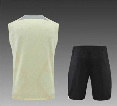 22-23 Tottenham Hotspur vest training suit kit Light Yellow