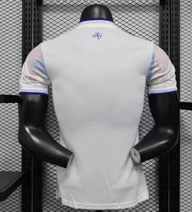 25-26 Aston Villa Away Kit Player Version Football T-Shirt Soccer
