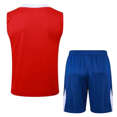 25-26 PSG Training Vest Kit Soccer