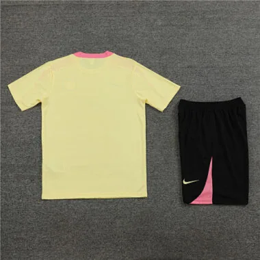 24-25 PSG Training Soccer Jerseys Football Shirts