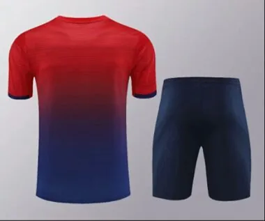 24-25 PSG Training Soccer Jerseys Football Shirts(1)