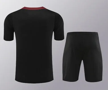 24-25 PSG Training Soccer Jerseys Football Shirts(2)