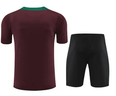 24-25 PSG Training Soccer Jerseys Football Shirts(6)