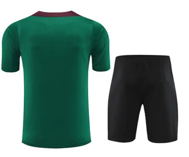 24-25 PSG Training Soccer Jerseys Football Shirts(7)