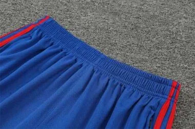 22-23 Completo da allenamento del Lione, maniche corte, blu