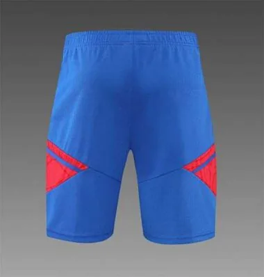 22-23 Completo da allenamento del Lione, maniche corte, blu