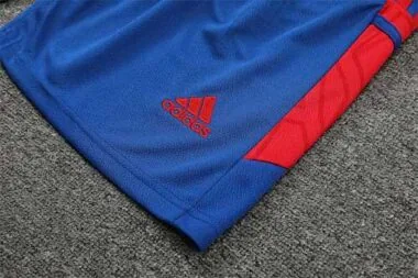 22-23 Completo da allenamento del Lione, maniche corte, blu