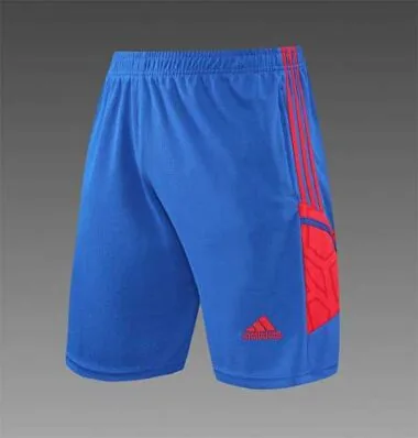 22-23 Completo da allenamento del Lione, maniche corte, blu