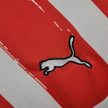 24-25 Eindhoven PSV Home Shirt Soccer Uniforms Football