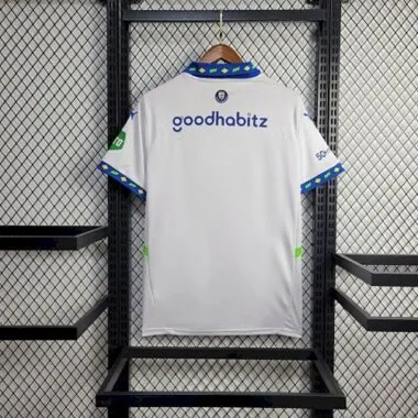 24-25 Eindhoven PSV Third Shirt Soccer Uniforms Football