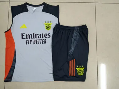 25-26 Benfica Grey Training Kits Football Vest Suits