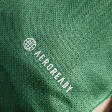 23-24 Celtic limited edition