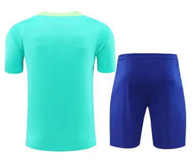 2024 Brazil Training Soccer Jerseys Football Shirts(5)