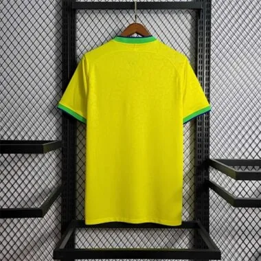 2022 Brazil home