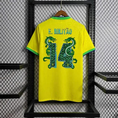 2022 Brazil home