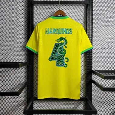2022 Brazil home