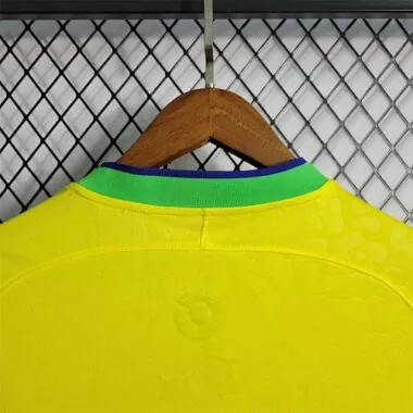 2022 Brazil home