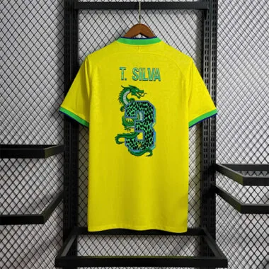 2022 Brazil home