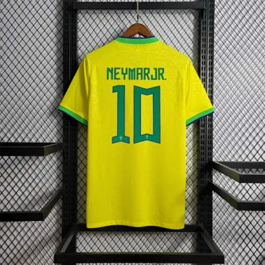 2022 Brazil home