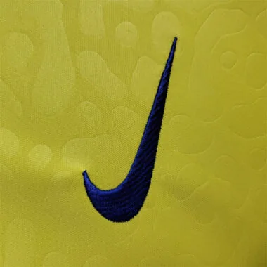 2022 Brazil home