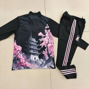 2024 Japan Prime Pink Dragon Special Long Sleeve Suits Football
