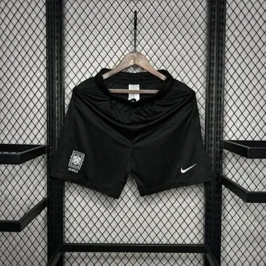 2024 South Korea Away Shorts Football Trousers Soccer