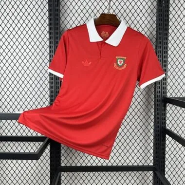 2026 Wales Special Edition Kit Soccer T-Shirt