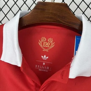 Maglietta da calcio "2026 Wales Special Edition"