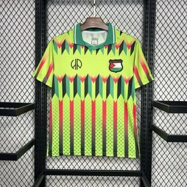 2024 CD Palestina x Hypepeace - Divise da calcio verde