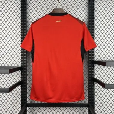 Camisola da Seleção do Egito para o Mundial de 2026 – Equipamento de Casa – Camisola de Futebol