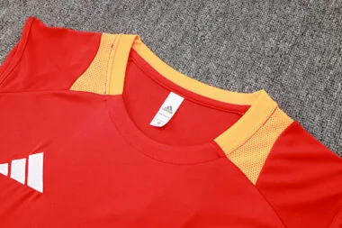 24-25 Bayern Munich Red Vest Soccer