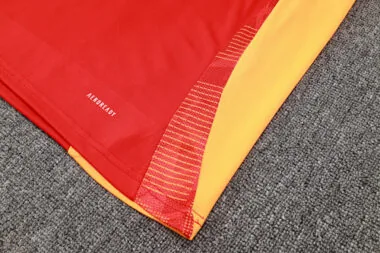 24-25 Bayern Munich Red Vest Soccer