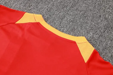 24-25 Bayern Munich Red Vest Soccer