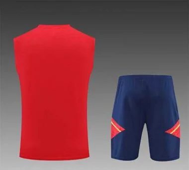 22-23 Ajax vest training suit kit Red