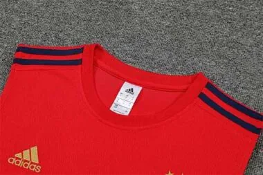 22-23 Ajax vest training suit kit Red