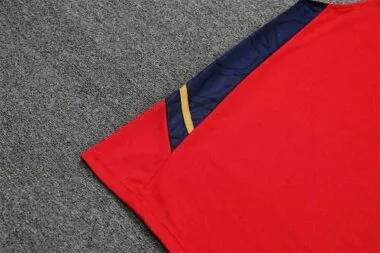 22-23 Ajax vest training suit kit Red
