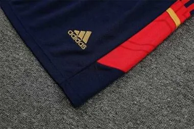 22-23 Ajax vest training suit kit Red
