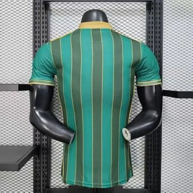 25-26 JS Kabylie Third Kit Player Version Soccer T-Shirt AAAAJersey Supply Yupoo