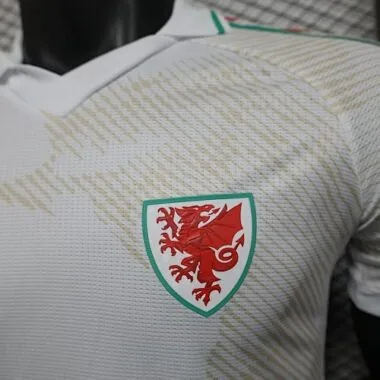 World Cup Jersey 2026 Wales Away Kit Player Version Soccer T-Shirt AAAAJersey Supply Yupoo