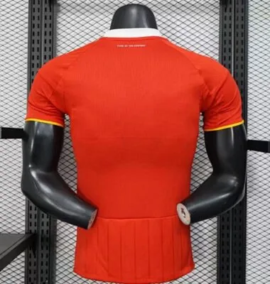 25-26 Al Ahly Home Kit Player Version Football T-Shirt Soccer AAAAJersey Yupoo