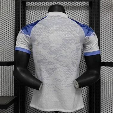 2024 Japan Blue Dragon Special Edition Player Version Football AAAAJersey