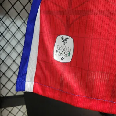 23-24 The Crystal Palace Home Players Version Size S-XXL