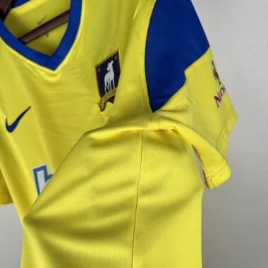 23-24 AFC Richmond Third Away S-XXL