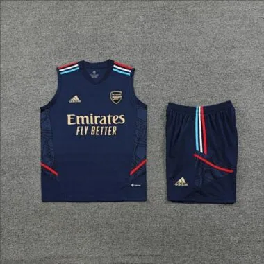 23-24 Arsenal Training Vest Kit S-XXL(3) Soccer Jerseys