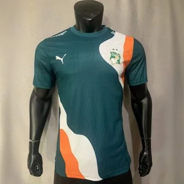 2023 Ivory Coast Cyan-Blue Kit Player Version Shirts Football