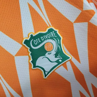 2023 Ivory Coast Training Kit Orange Shirts Cheap Soccer Jerseys